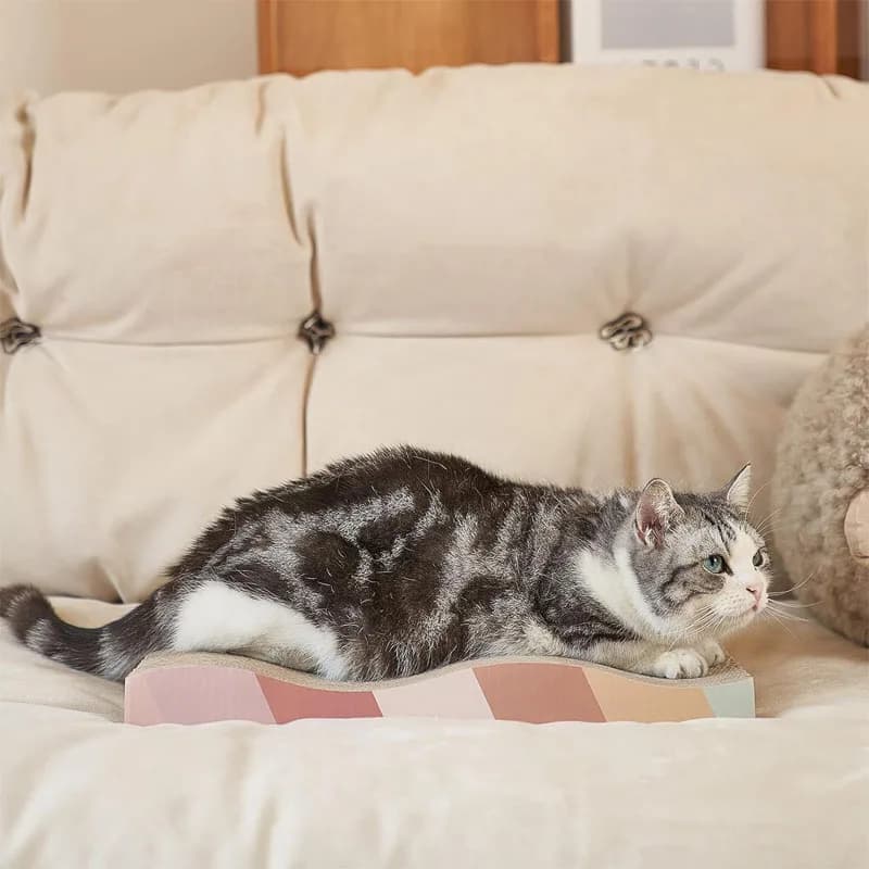 أدوات حماية الأثاث من خدوش القطط مع مبراة مخالب - 2