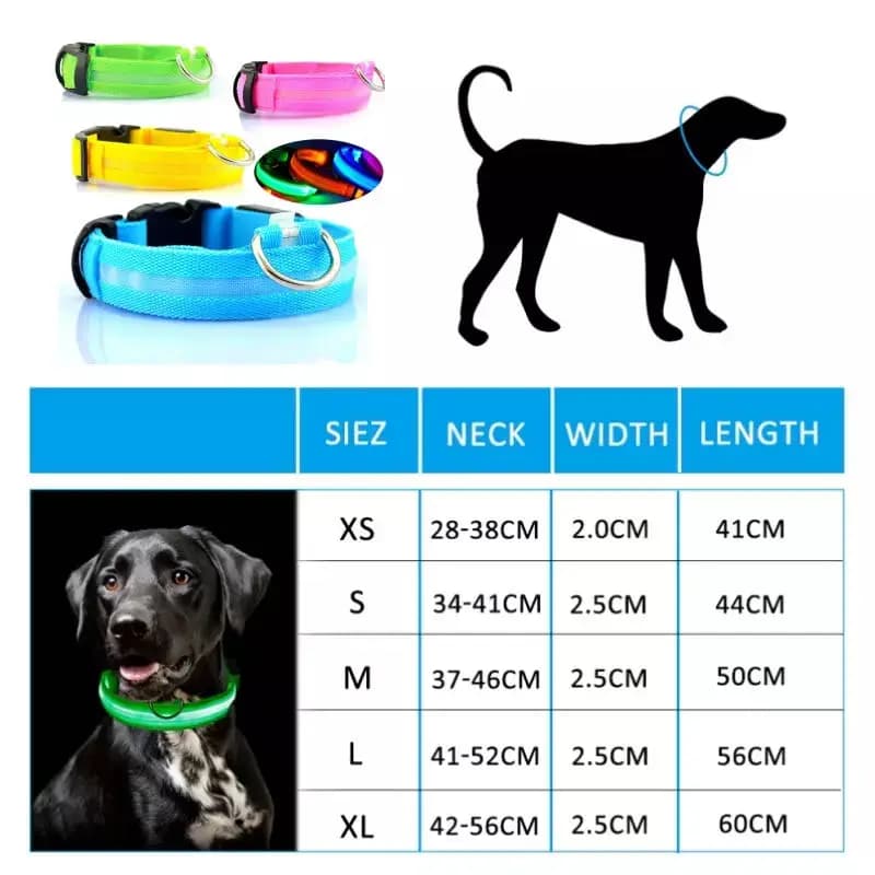 طوق مضيء LED قابل للتعديل طوق كلب مضيء USB قابل لإعادة الشحن وميض مضاد للفقدان/تجنب حوادث السيارات طوق كلاب منتجات الحيوانات الأليفة - 4