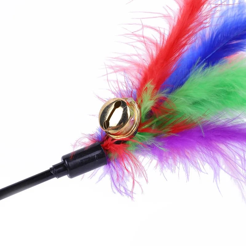 5pcs Funny Kitten Cat Teaser Interactive Toy Rod with Bell and Feather Toys For Pet Cats Stick Wire Chaser Wand Toy Random Color - 4