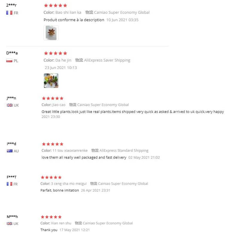 نباتات عصارية اصطناعية 2021 ديكور منزلي حديقة بونساي صغيرة لتزيين غرف النوم والزفاف - 5