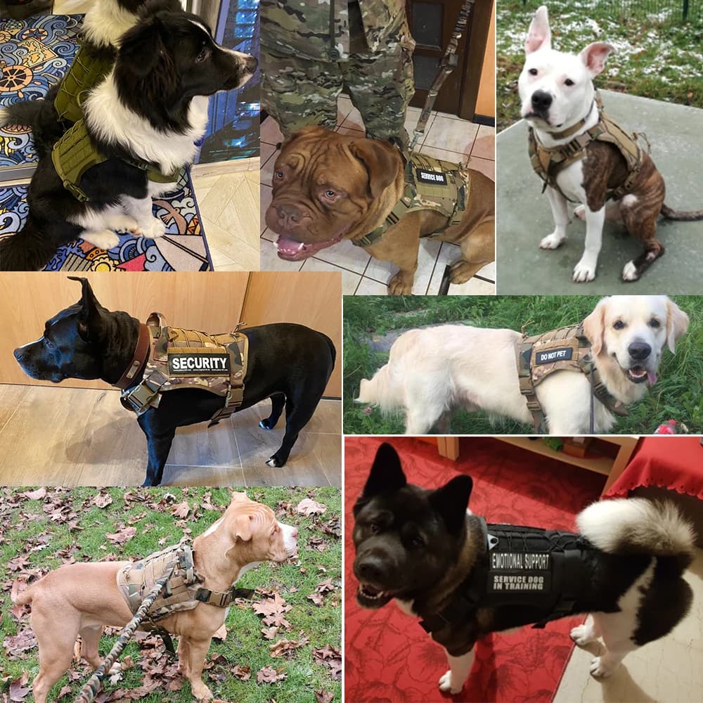 Tactical Dog Harnesses Pet Training Vest Military Dog Harness Leash Collar For Small Medium Large Dogs Walking Hunting - 5