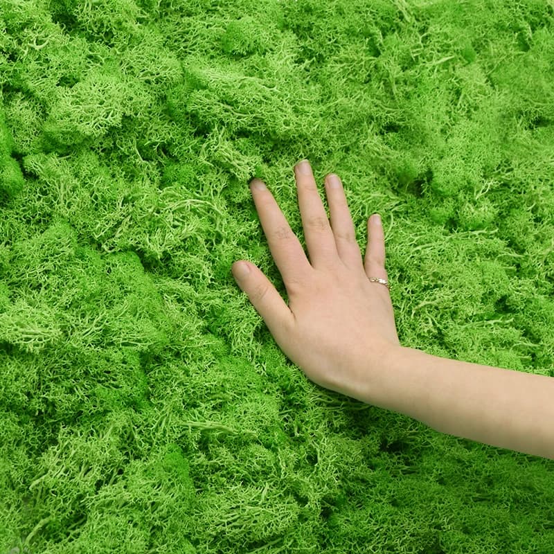 20/40g Artificial Green Plants Eternal Life Moss DIY Crafts Grass Home Living Room Garden Decoration Mini Landscape Fake Grass - 4