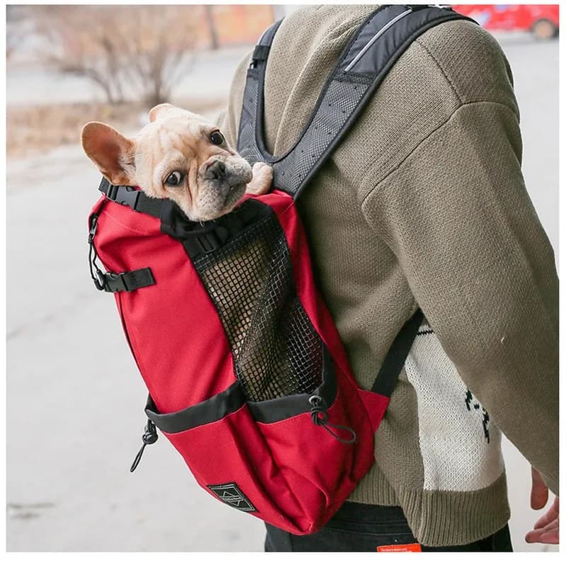 Hiking Pet Dog Carrier Travel Backpack Outdoor Ventilation Breathable Bicycle Motorcycle Outdoor Sport Mesh Bag Drop Shipping - 4