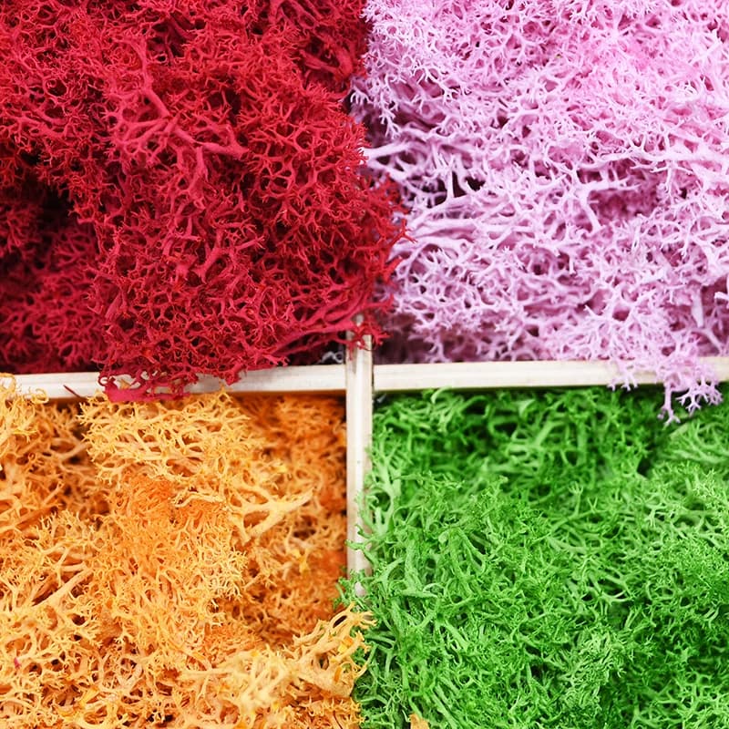 20/40g Artificial Green Plants Eternal Life Moss DIY Crafts Grass Home Living Room Garden Decoration Mini Landscape Fake Grass - 2