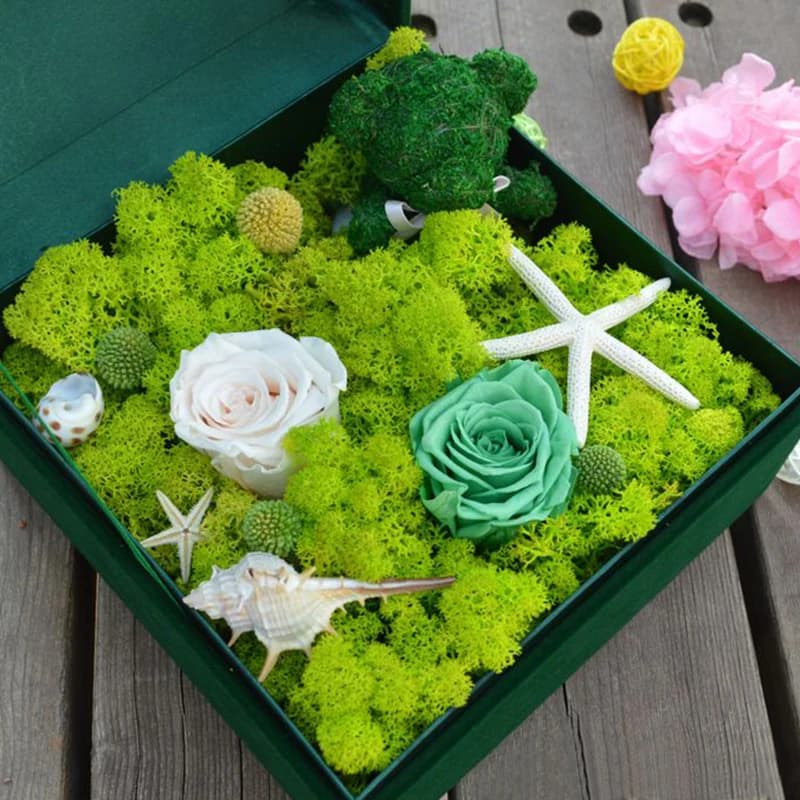 20/40g Artificial Green Plants Eternal Life Moss DIY Crafts Grass Home Living Room Garden Decoration Mini Landscape Fake Grass - 5