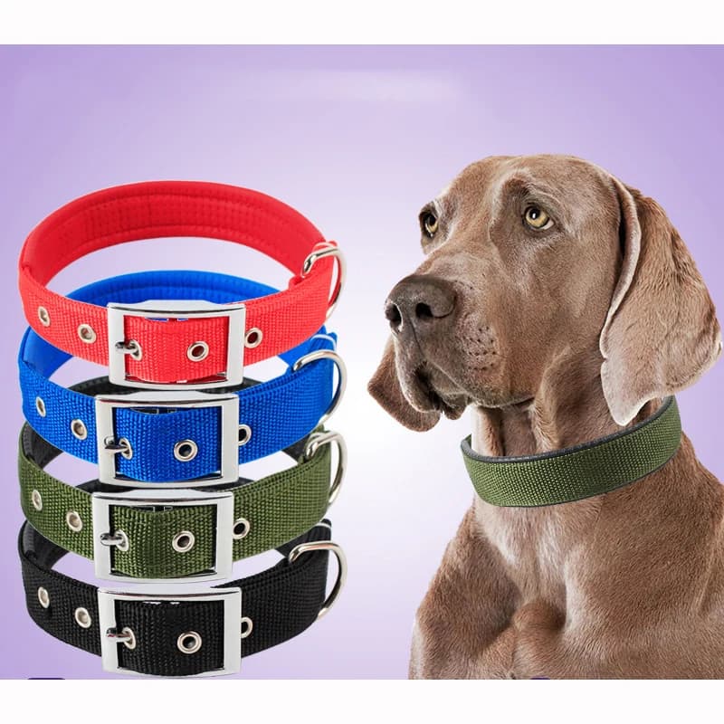 Solid Dog Collars  Nylon Dog Collar For Small Medium Large Dogs Teddy Keji Pitbull Bulldog Beagle - 2