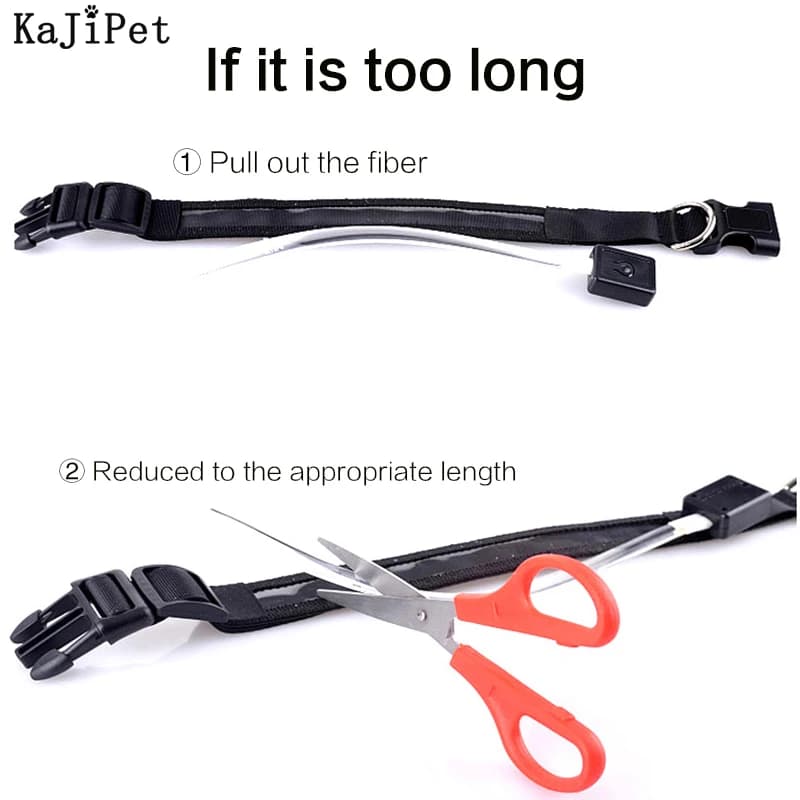 Engraved ID LED Dog Collar Luminous USB Custom Dog Tag Personalized Nylon Pet Dog Collar Led USB Light Night Safety Collar Perro - 4