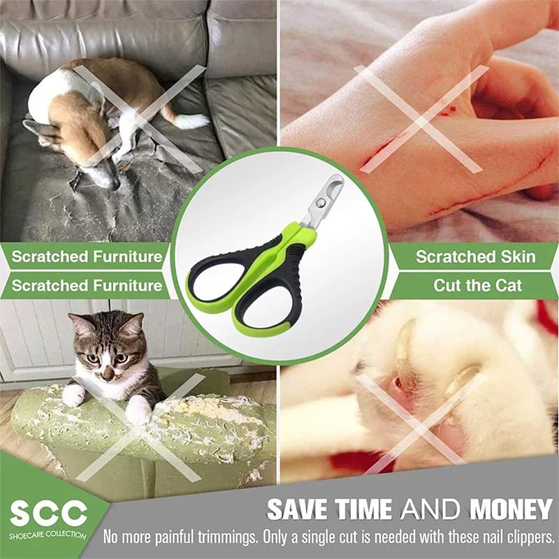 مقص أظافر للهامستر والحيوانات الصغيرة، مقص احترافي، للقطط والأرانب والخنازير الغينية والطيور - 6