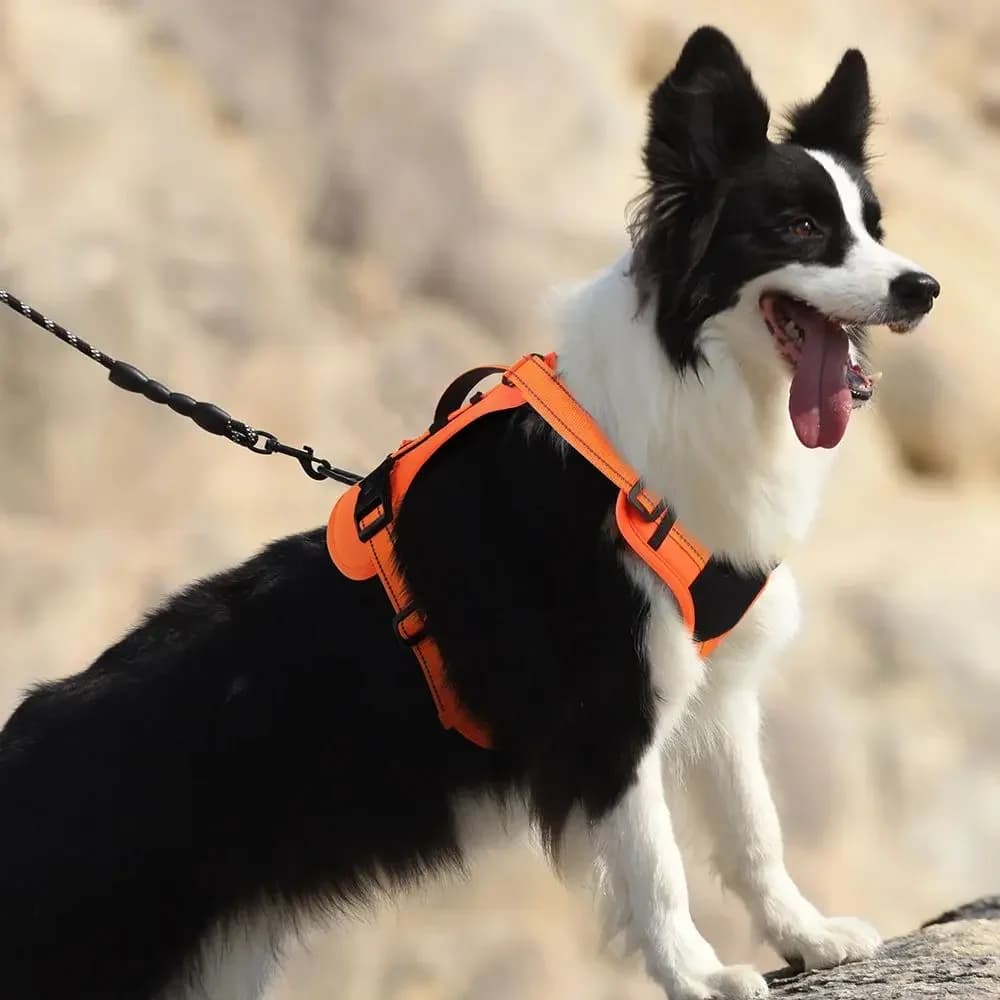 Dog Tactical Chest Harness Multifunctional Undershirt Reflective Dog Chest Harness Explosion-Proof Dog Chest Harness - 2