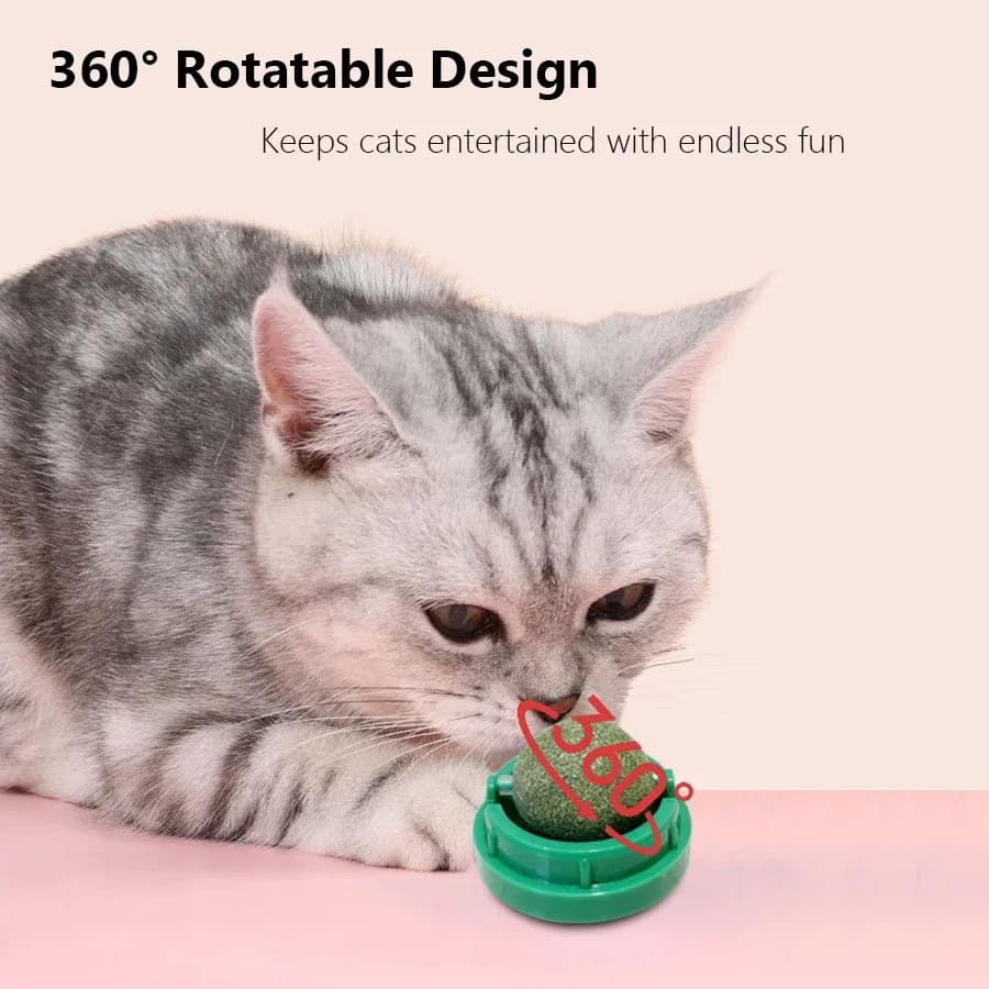 Spinning Catnip Mint Ball for Cats, Interactive Dental Care Chew Toy with Natural Catnip, Hairball Control Kitten Cat Toys - 3