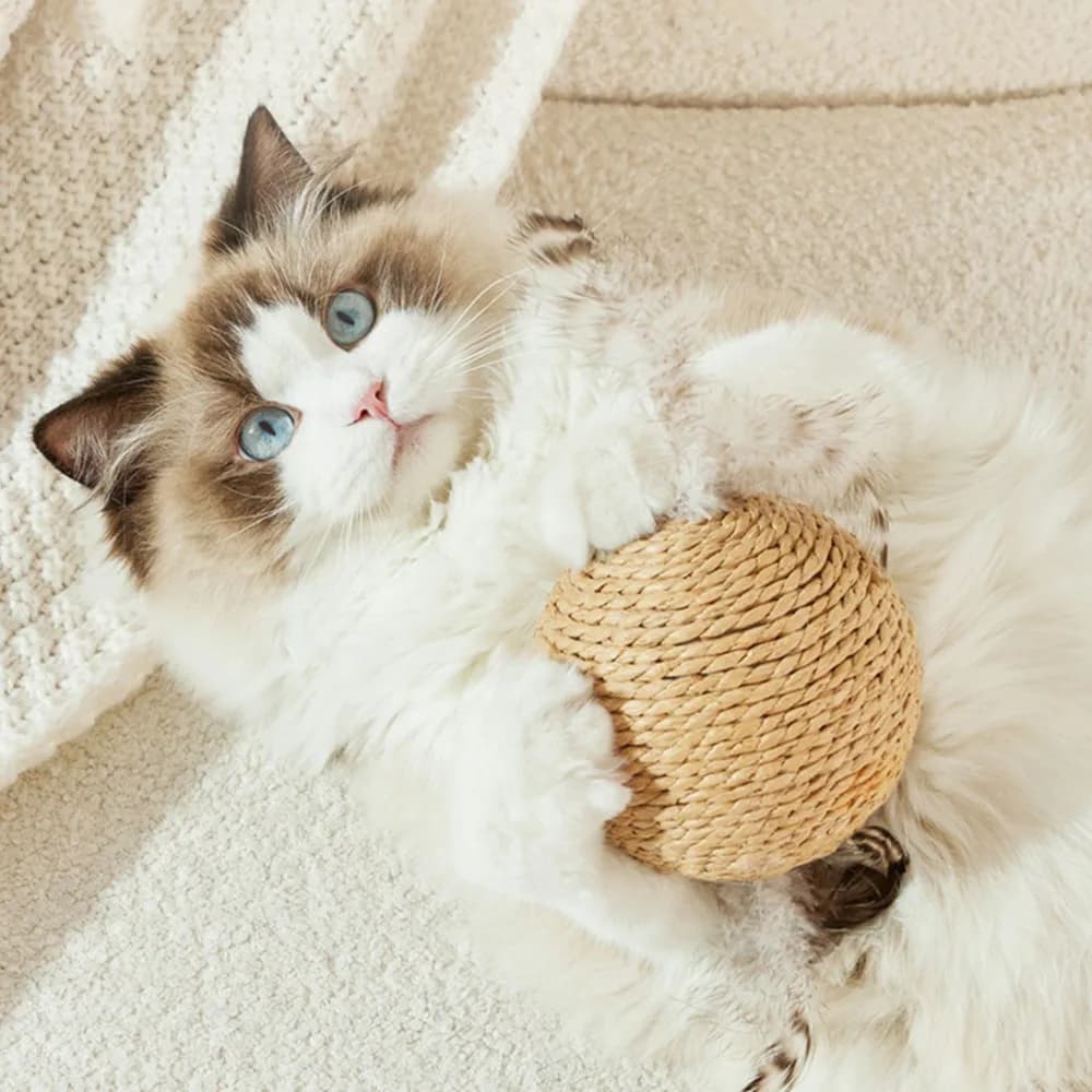 Interactive Sisal Cat Scratching Ball Toy For Kitten Teeth Cleaning Anti Bite 10CM Super Big Cat Ball Sounding Toy Pet Supplies - 3