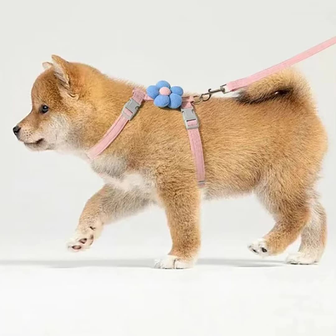 Cat Harness and Leash Sets Adjustable Dog Harness for Small Dog Leash Breashable Pet Harness Out Walking Dog Strap Cat Accessory - 5