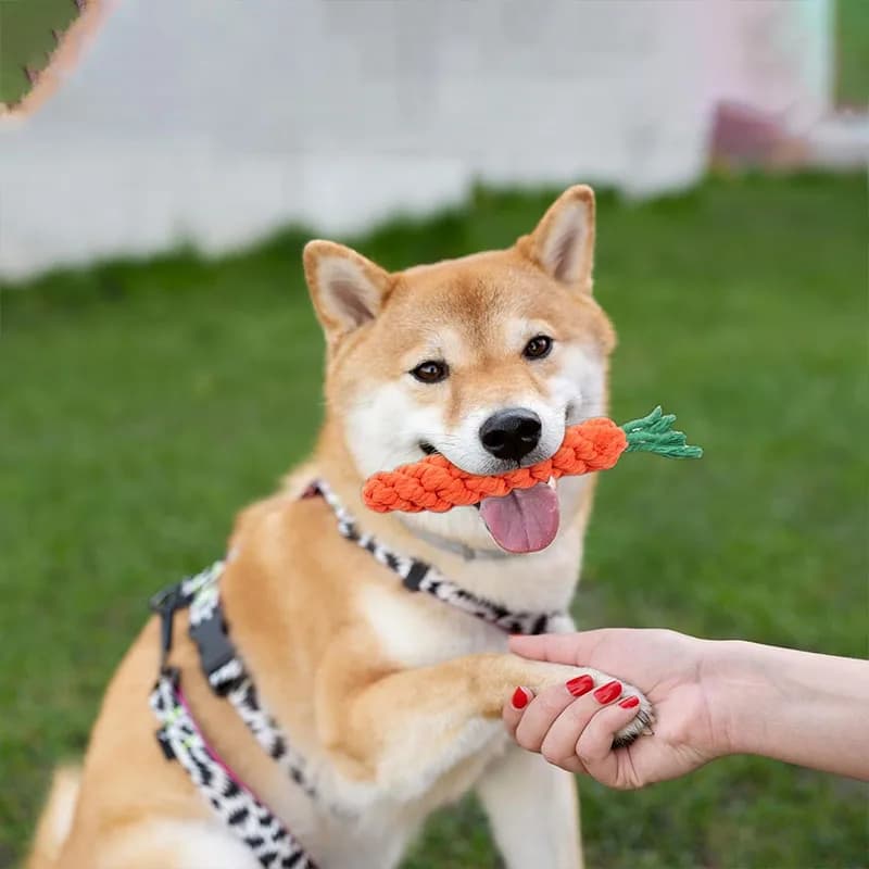 Carrot Dog Bite Rope Pet Dog Toy Safe Durable Braided Bite Dog Chew Toys Resistant Puppy Molar Cleaning Teeth Cotton Rope - 2
