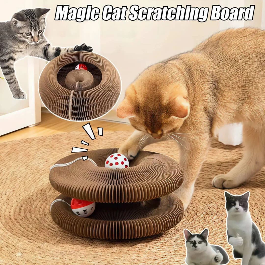 Magic Organ Cat Toy Cats Scratcher Scratch Board Round Corrugated Scratching Post Toys for Cats Grinding Claw Cat Accessories - 2