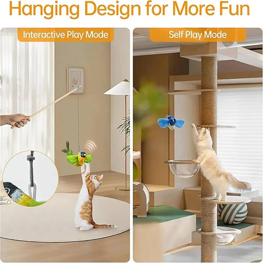 Indoor Interactive Birds Toy for Cat Chasing Teasing Toy Sounding Catnip Cat Teaser Toy Self-hilarity Wall Hanging Birds Cat Toy - 2