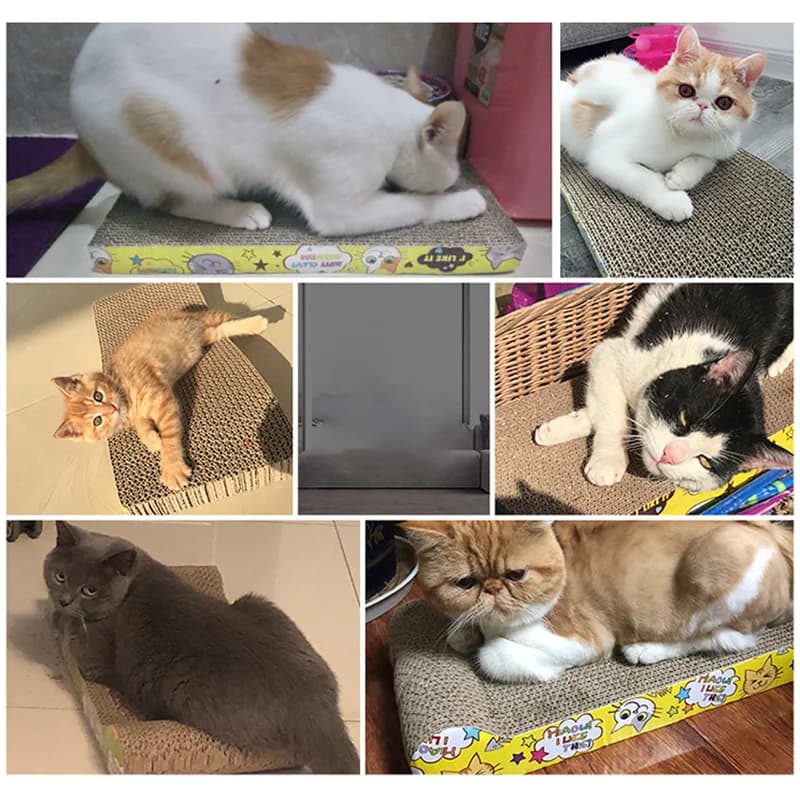 Cat Toys cat scraper sharpening claw cardboard corrugated board scratch-resistant cat scratch board Cat toy sofa cushion bed - 6