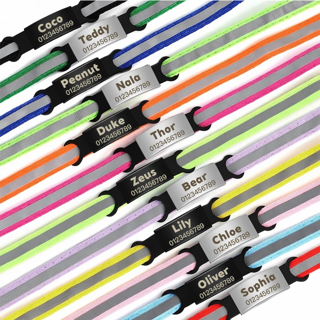 Customized Pet Collar Reflective Cat Collars Free Engraved Puppy Kitten Pet ID Nameplate Necklace With Bell Anti-lost For Cats - 6