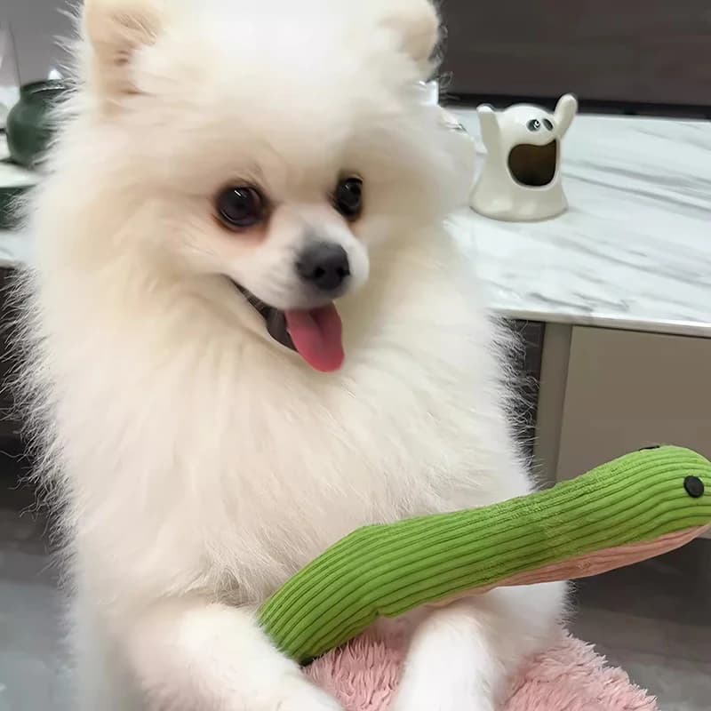Dog Toy Snake Interactive Crinkle Sound Toy Kitten  Kick Toy Interactive Pet Toy for Indoor Cats 16.5 Inches Pet Supplies - 5
