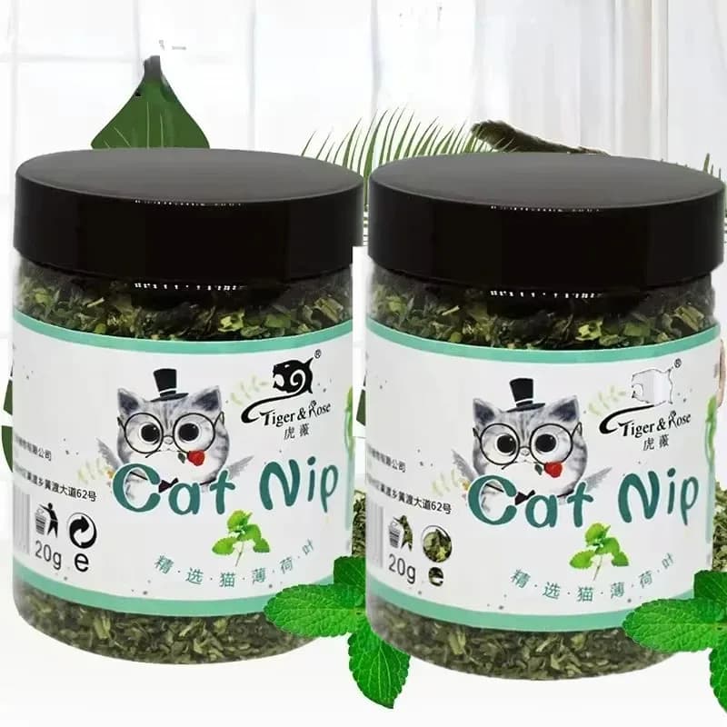 5-40g Organic 100% Cat Nip Natural Catnip Toy Cattle Grass Mint Taste Funny Cat Toy New Cat Interactive Cat Toys Pet Supplies