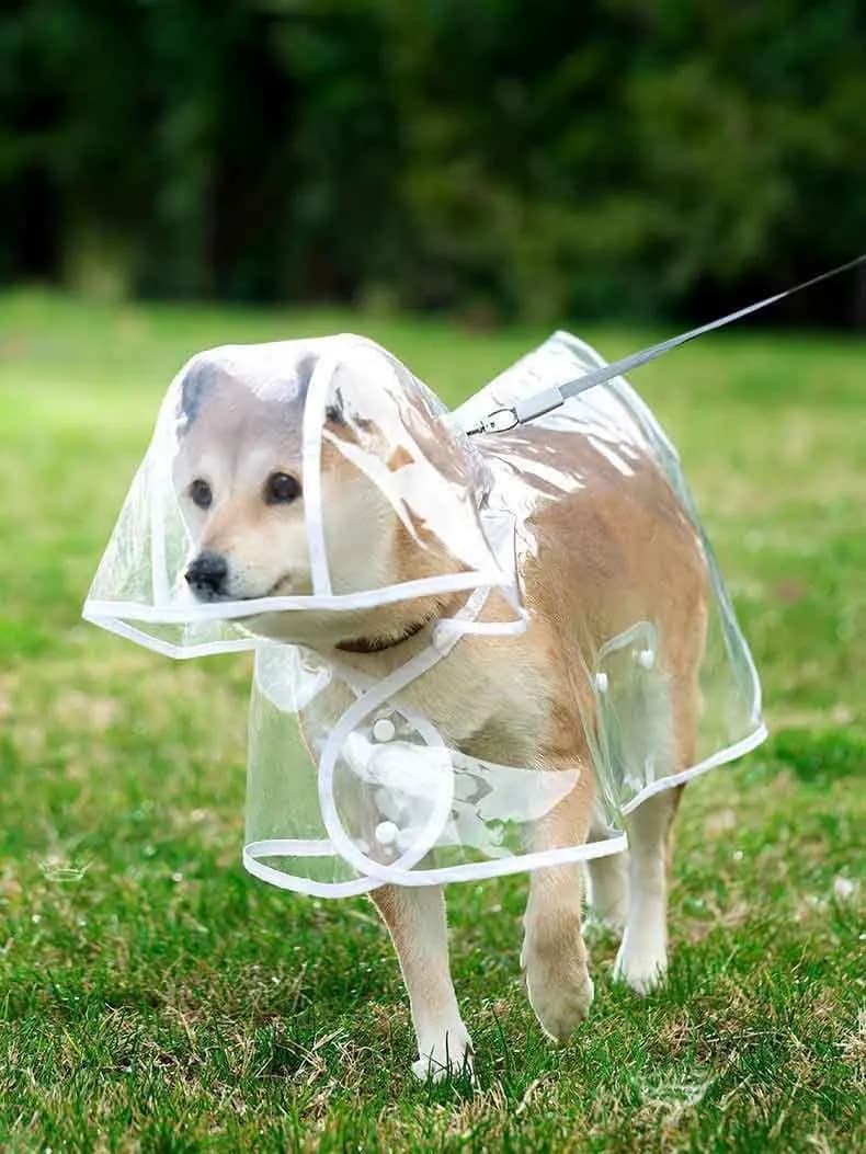 Dogs going out, transparent waterproof raincoat with hat pet raincoat - 2