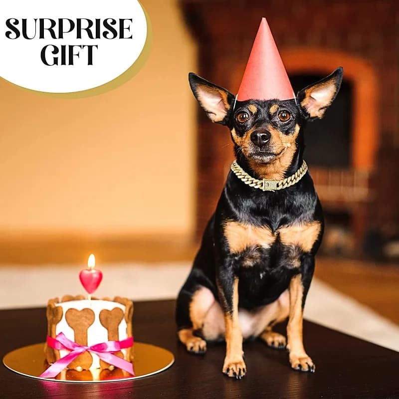 طوق كلب فاخر بسلسلة ذهبية، قلادة مجوهرات للحيوانات الأليفة، مناسب للكلاب والقطط الصغيرة والمتوسطة والكبيرة - 6