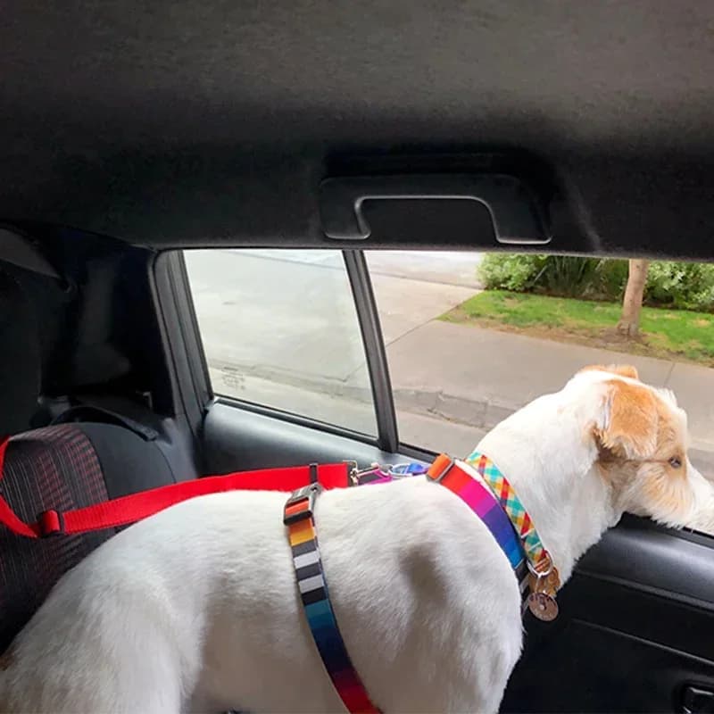 Solid Color Two-in-one Pet Car Seat Belt Nylon Lead Leash Backseat Safety Belt Adjustable Dogs Harness Collar Pet Accessories - 4