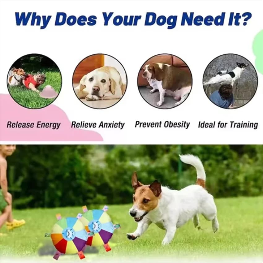 لعبة كلاب مضحكة على شكل طبق طائر قوس قزح من القطيفة، ألعاب تدريب تفاعلية خارجية، ألعاب مضغ للحيوانات الأليفة، أقراص طائرة مقاومة للعض - 4