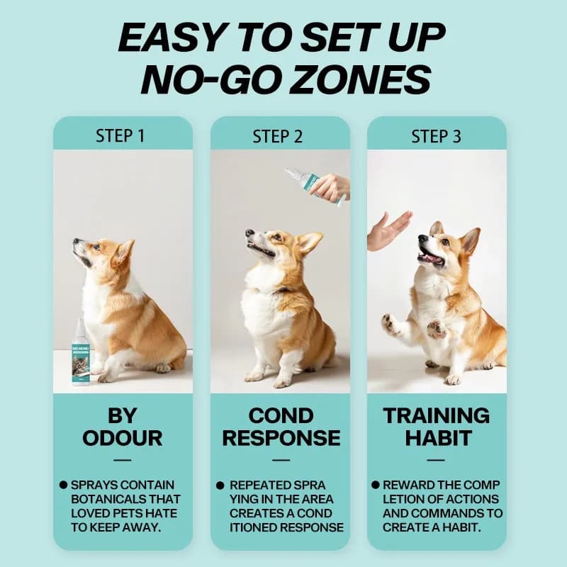 Long Lasting Cat Repellent Spray 120ml Non-Toxic Formula for Furniture Carpets Prevent Urine Marking Indoor Odor Neutralizer - 2