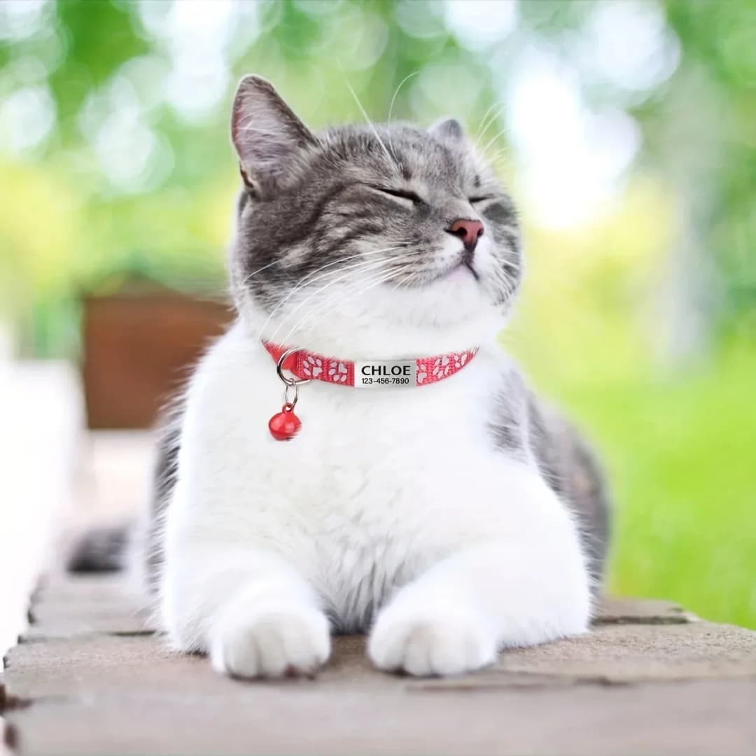 Custom Reflective Cat Collar - Personalized Name Tag & Bell Breakaway Adjustable Anti-Lost Design with Paw Print Collar for Cats - 4