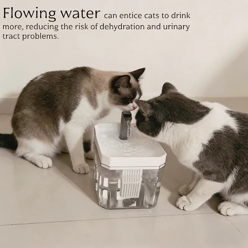 2026 new Cat Automatic Water Dispenser Drinking circulating filters flowing water intelligent pet automatic water dispenser - 2