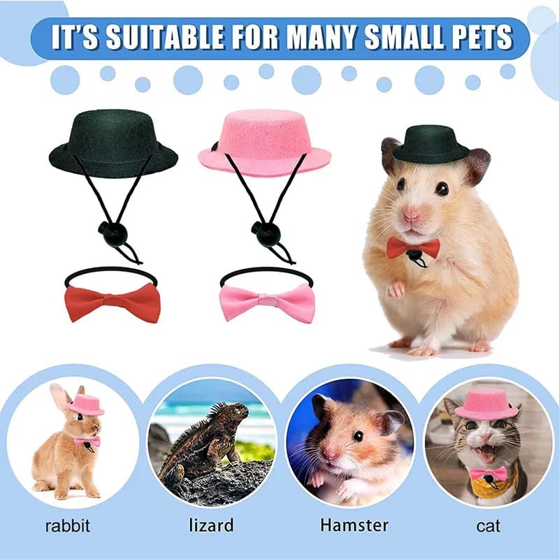 طقم مكون من قطعتين: قبعة وربطة عنق للخنازير الغينية والهامستر، زي تنكري للفئران والشينشيلا، قبعة أنيقة للأرانب، إكسسوارات للحيوانات الأليفة الصغيرة - 5