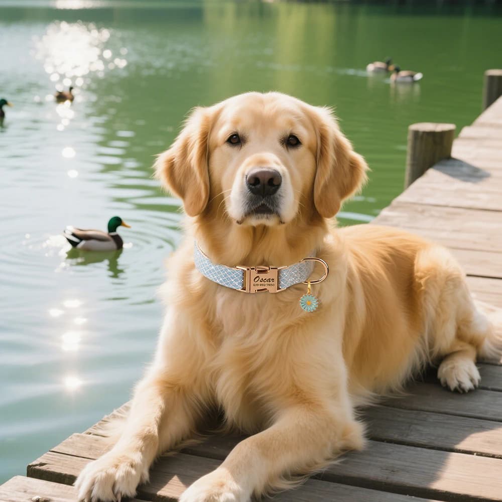 طوق كلاب مخصص من النايلون مع أزهار لطيفة، علامة اسم للحيوانات الأليفة، مناسب للكلاب الصغيرة والكبيرة تشيهواهوا - 5