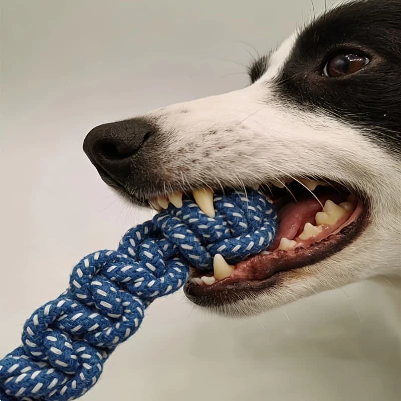 1pc Dog Toy Knot Rope Ball Cotton Rope Dumbbell Puppy Cleaning Teeth Chew Toy Durable Braided Bite Resistant Pet Supplies - 5