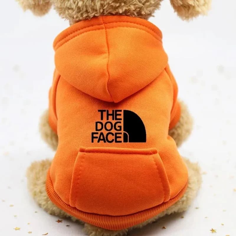 Autumn and winter sweater cowboy pocket two-legged clothes sports wind pet clothes dog cat pet clothes supplies - 4