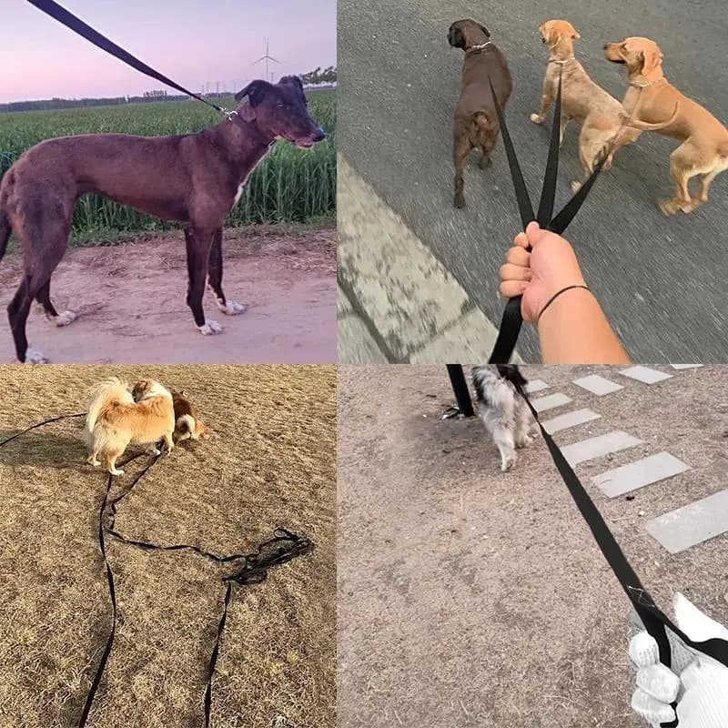 Long Nylon Pet Dog Leash For Small Big Dogs Cats Outdoor Hiking Puppy Lead Rope Strong Labrodor Traction Belt 1.5m 3m 10m 30m - 6