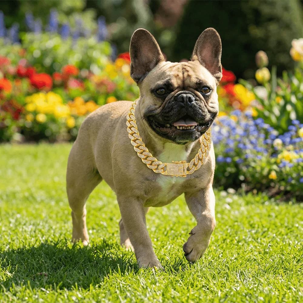 Luxury Hip Hop Dog Collar, Gold Tone Stainless Steel Cuban Chain, Durable Diamond Inlaid Pet Jewelry for Daily Walking - 5
