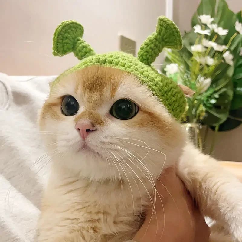 Cute Cat Hat Funny Pets Party Cosplay Headwear Delicate Hemming Pendant Decor Elasticity Knitted Hat Pet Accessories - 4