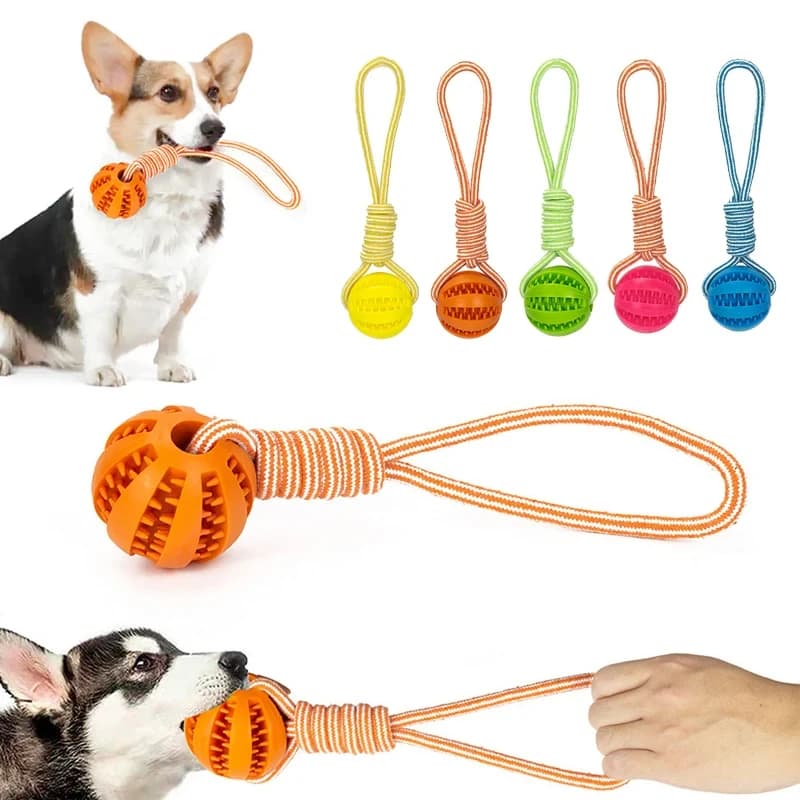 Leash dog toy Rubber leaky ball Pet products Grinding teeth cleaning teeth bite resistant Large, small dog interactive toy