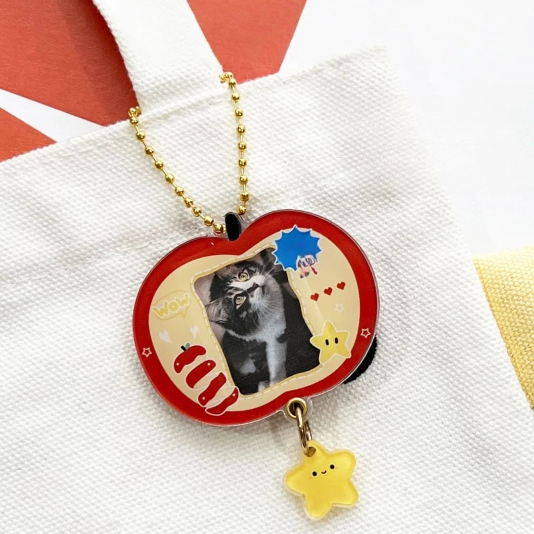 الاكريليك صور منظم إطار الصورة الشخصية المفاتيح سلسلة مفاتيح من الكرتون المدمجة Photocard حالة المفاتيح للسفر تذكار هدية - 5