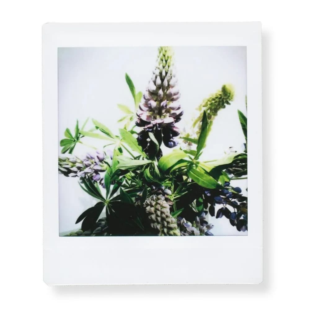 ورق صور بحافة بيضاء من فوجيفيلم إنستاكس سكوير (10-100 ورقة) لكاميرات فوجي إس كيو10 إس كيو6 إس كيو1 إس كيو20 فورية وطابعة إس بي-3 - 2