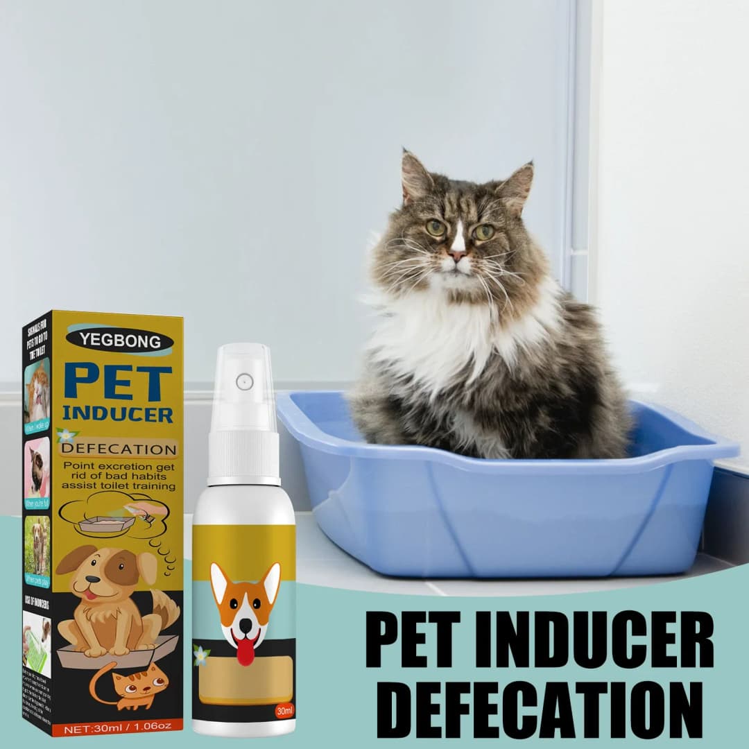 Dog Potty Training Spray Cats Kitten Outdoor Urine Poops Stool Location Helps Puppies Toilet Pet Positioning Defecation Inducer - 3