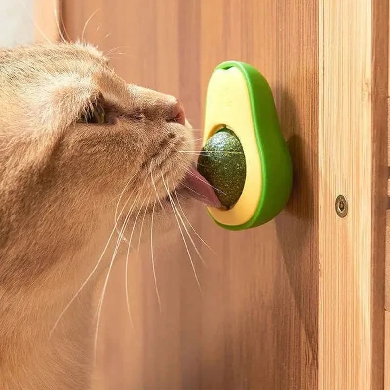 النعناع البري الطبيعي صحي الحيوانات الأليفة القط لعبة الجدار عصا على الكرة القطط تنظيف الأسنان النعناع البري ألعاب كروية القط وجبات خفيفة هريرة القط النعناع البري لعبة - 5