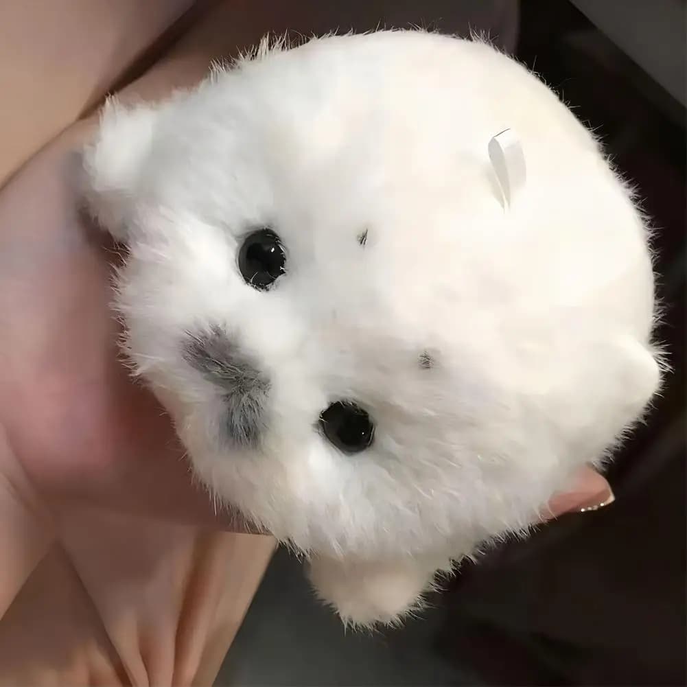 لطيف الأختام أفخم المفاتيح لينة Kawaii ختم بلوشي الحيوان قلادة سيارة الحلي موضة محشوة دمية كيرينغ مفتاح السيارة الملحقات - 3