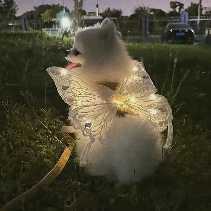 Glowing Butterfly Wings Dog Harness & Summer Outfit for Small Dogs - Adorable Chest Decor for Dogs Cats Pomeranian Teddy Bichon - 3