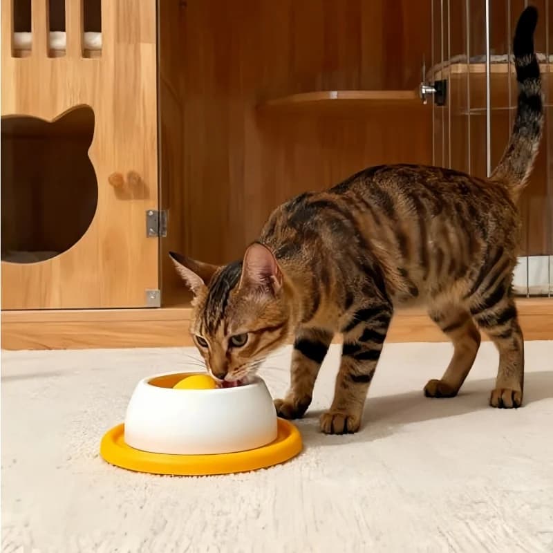 إكسسوارات إطعام الحيوانات الأليفة لعبة ألغاز مكافآت الكلاب للجراء المملة مغذية بطيئة لوازم الجراء لتناول الطعام الصحي - 4