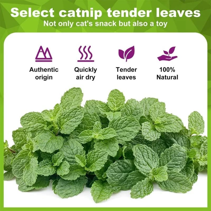 5/10/20Pcs Natural Catnip Balls Kitten Cat Nip Ball Licker Toy for Cats of All Breeds,Lick Ball Toys That Fascinate Pet Cats - 4