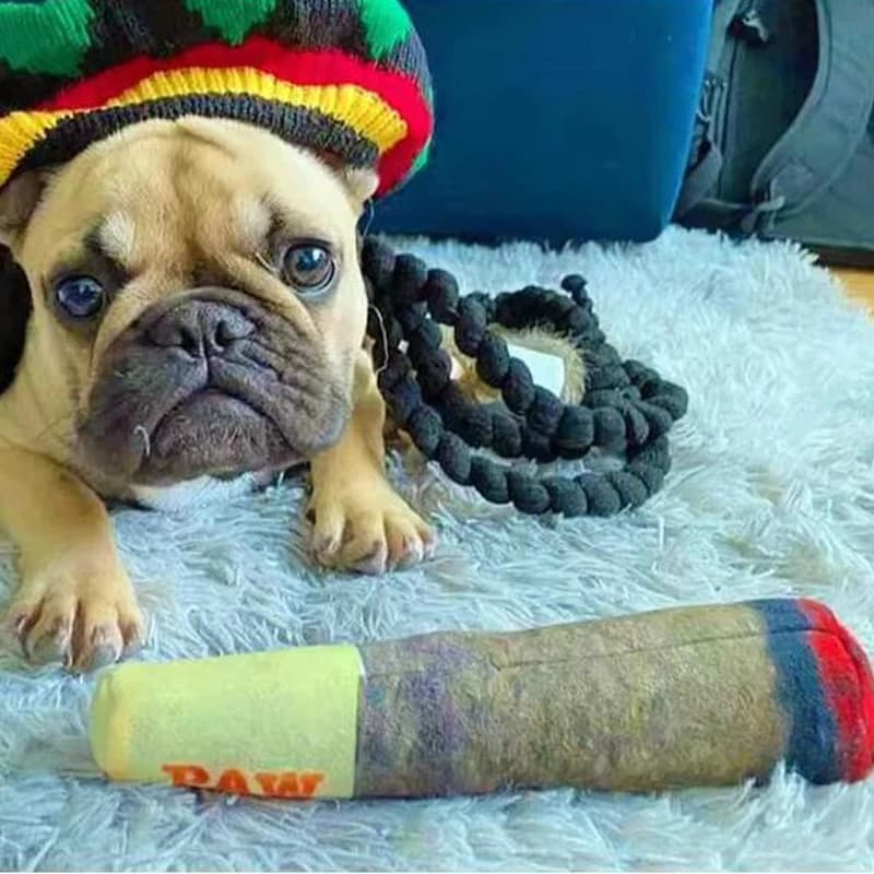 Funny Interactive Dog Toys - Cigar Design Plush Squeaky Pet Toys Grinding Teeth Creative Chew Toy For Small Medium Dog - 5