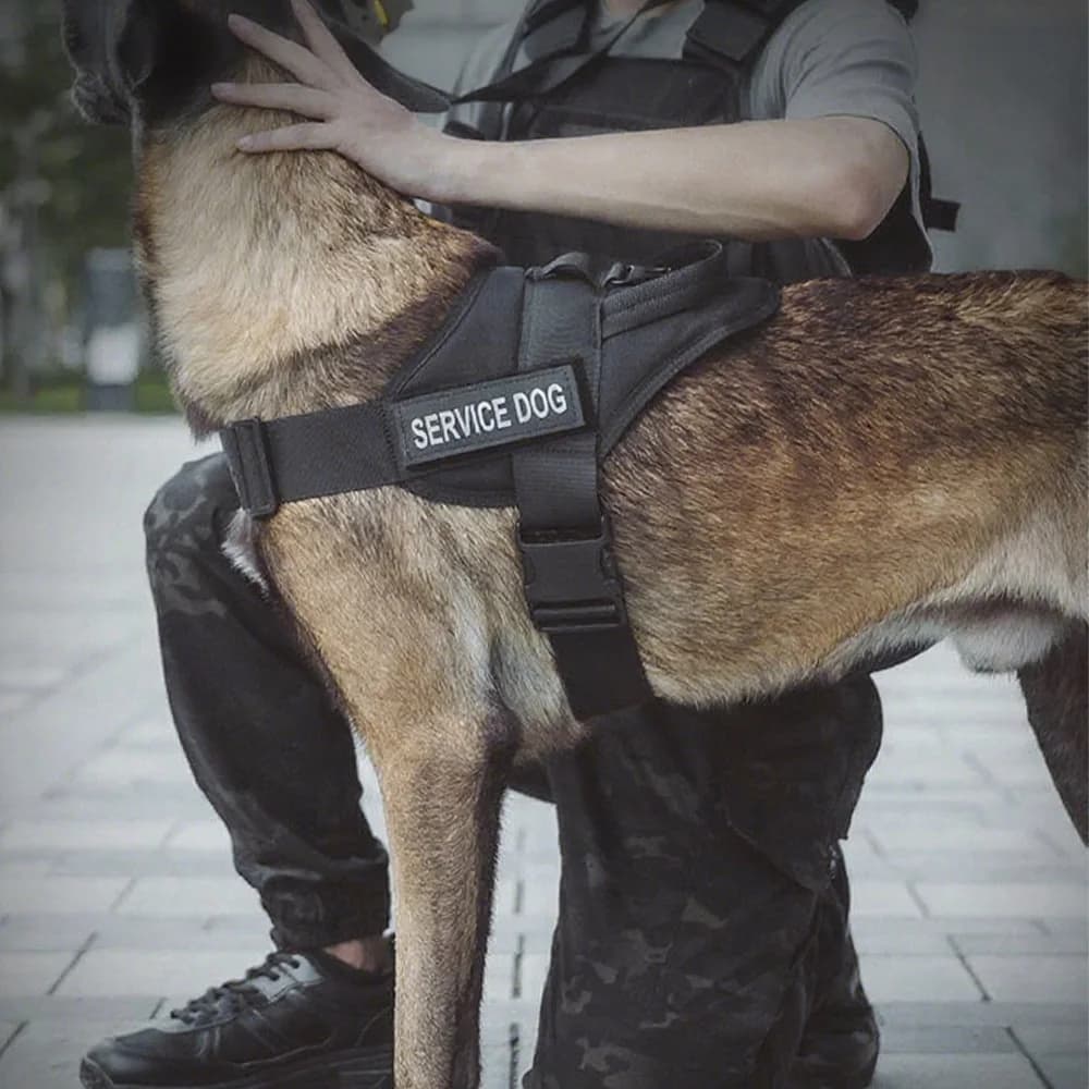 Tactical Dog Vest Training Military Patrol Service Dog Harness Adjustable Nylon Dog Harness with Handle Dog Summer Clothes - 4