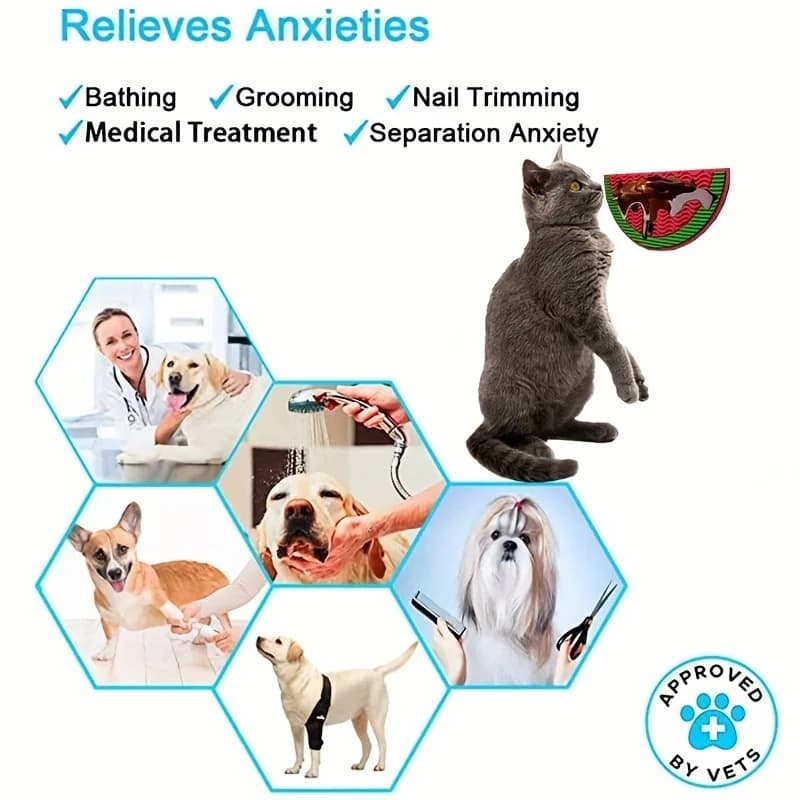 Suitable for pets weighing less than 3 kilograms Mat Cats Slow Food Bowls Suction Cup Feeding Food Silicone Lick，product small - 6