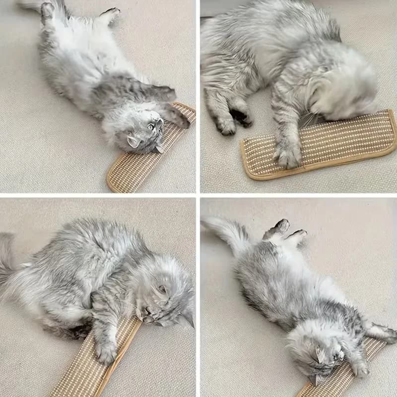 at Toy Game Pillow and Cat Scratching Pad for Solo Play and Intimate Interaction to Keep Your Feline Friend Happy and Soothing - 2